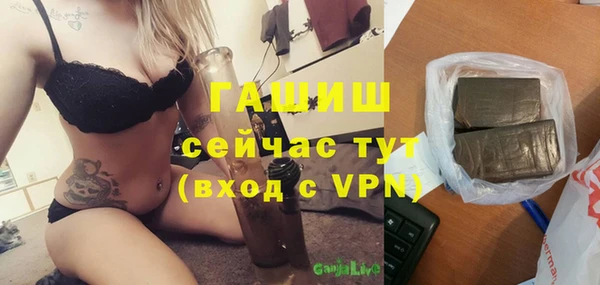 мет Няндома
