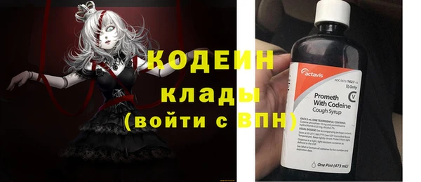 шишки Нязепетровск