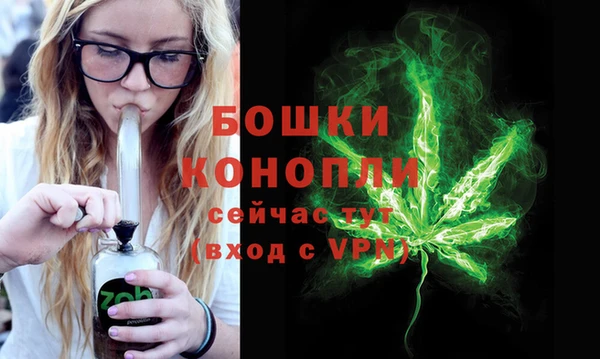 мет Няндома